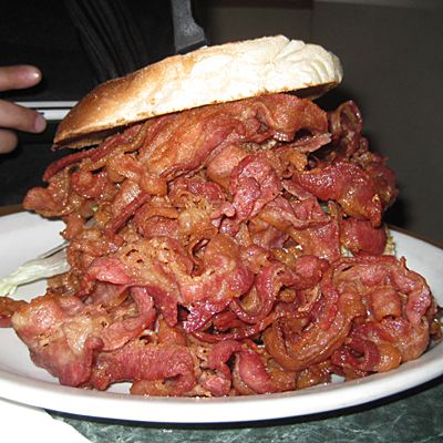 Alimentación no recomendable